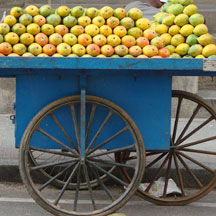 Ons Alkmaars Cultuurpark