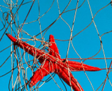 Behandeling met dentritische cellen (14)